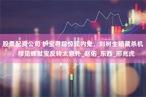 股票配资公司 护宝寻踪惊现内鬼，刘树生暗藏杀机，穆见晖献宝反转太意外_赵佑_东西_邢兆虎