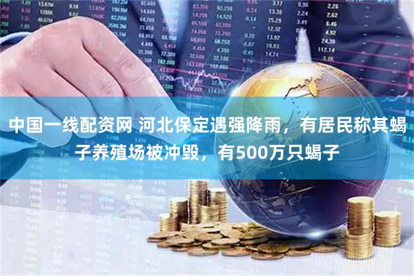 中国一线配资网 河北保定遇强降雨，有居民称其蝎子养殖场被冲毁，有500万只蝎子