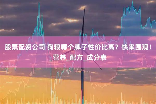 股票配资公司 狗粮哪个牌子性价比高？快来围观！_营养_配方_成分表