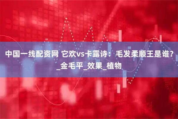 中国一线配资网 它欢vs卡露诗：毛发柔顺王是谁？_金毛平_效果_植物