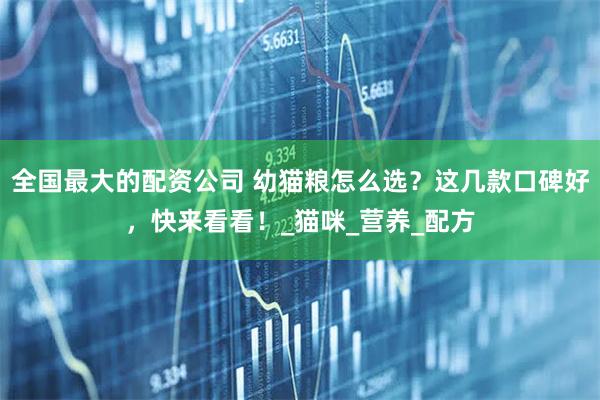 全国最大的配资公司 幼猫粮怎么选？这几款口碑好，快来看看！_猫咪_营养_配方